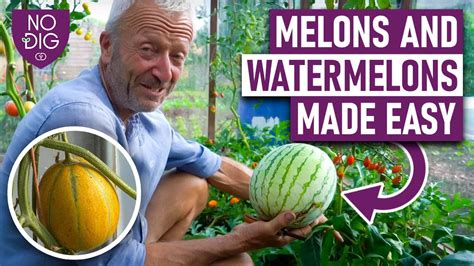 melonsthbe|Melons Clips